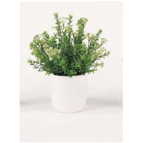 HERB GARDEN 2